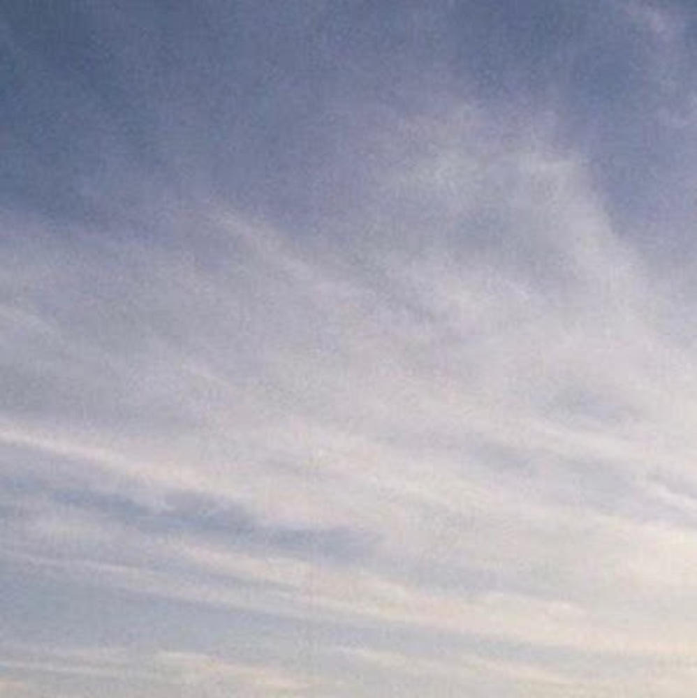 Meet your Posher, Cao hoàng